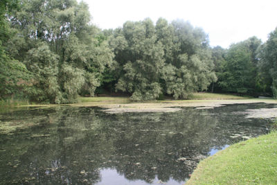 Foto 95 uit StratenBEVERWAARD