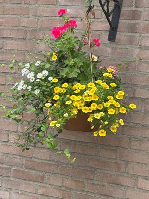 Foto 601 uit Rondje Beverwaard 2026