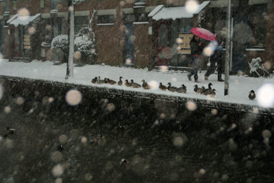 Foto 8 uit SneeuwBeverwaard10