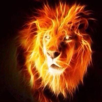 Foto 87 uit OranjeInBeverwaard