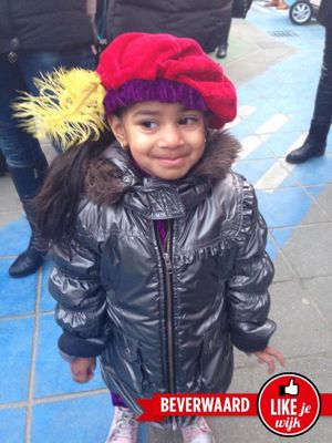 Foto 110 uit LIKEJEWIJK FOTO'S_2