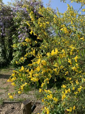 Foto 231 uit Rondje Beverwaard 2026