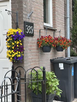 Foto 216 uit Rondje Beverwaard 2026