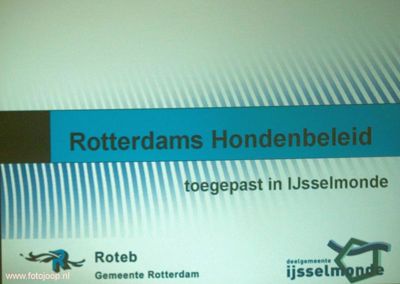 hondenbeleid focus new