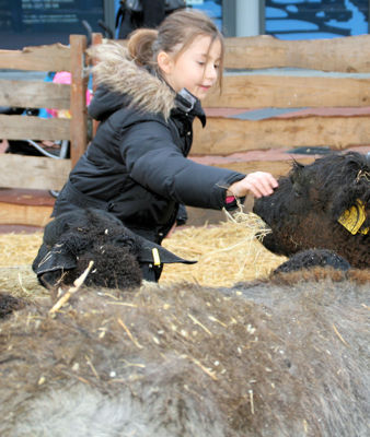 Foto 28 uit Sinterklaas 2009B.W