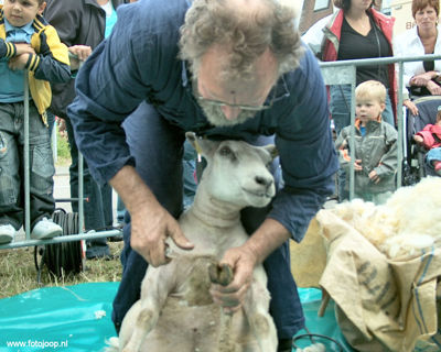 Foto 52 uit Paardenmarkt new07