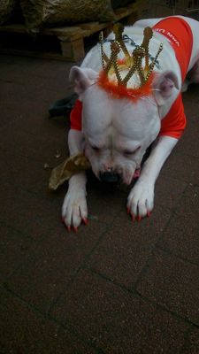 Foto 114 uit OranjeInBeverwaard