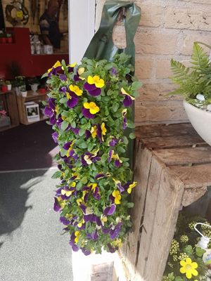 Foto 12 uit NeelyshaNieuweZaak