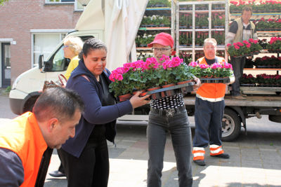 Foto 12 uit Opzoomeren20-05