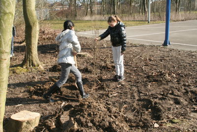 Foto 34 uit Boomplantdag16-3