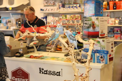 Foto 14 uit MooisUitBeverwaard