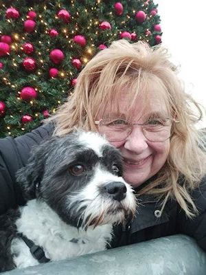 Foto 6 uit Grote Kerstboom WC