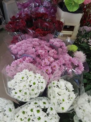 Foto 26 uit NeelyshaBloemen