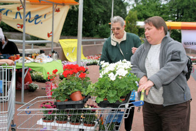 Foto 60 uit OpzoomerenPlantjes