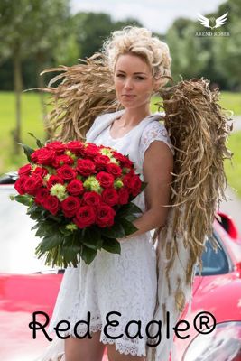 Foto 259 uit NeelyshaBloemen