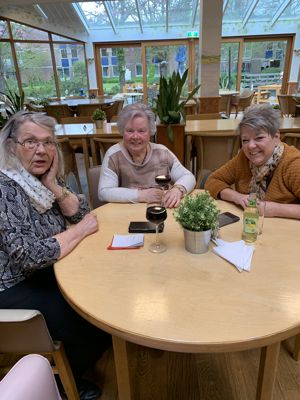 Foto 28 uit Netwerkborrel