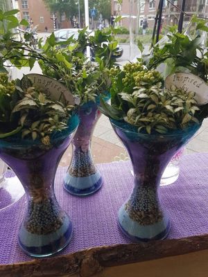 Foto 246 uit NeelyshaBloemen