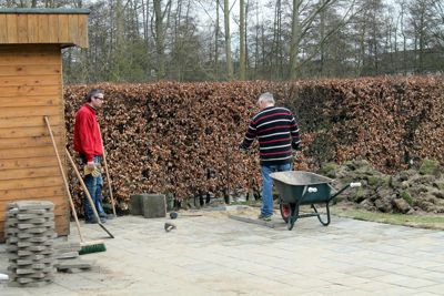 Foto 19 uit Stormpolder--Terras
