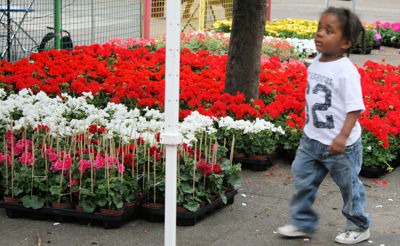 Foto 73 uit Opzoomeren 19_05