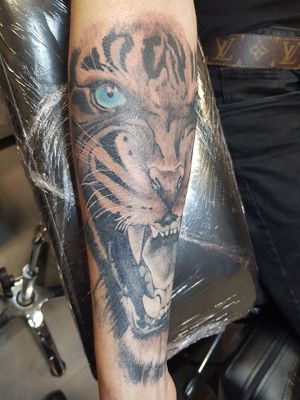 Foto 52 uit Tattooshop Creations