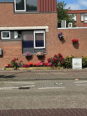 Foto 590 uit Rondje Beverwaard 2026