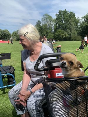 Foto 22 uit Donutsdag Wijkpark