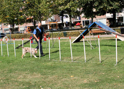 Foto 112 uit Wijkfeest12-09-2009