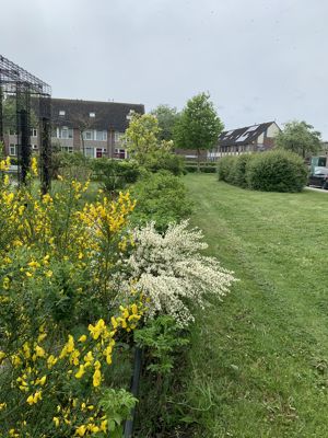 Rondje Beverwaard 2026