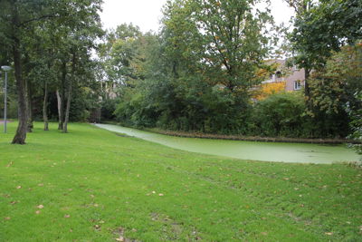 Foto 141 uit Herfst In Beverwaard