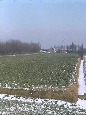 Foto 98 uit 40 Jaar Beverwaard