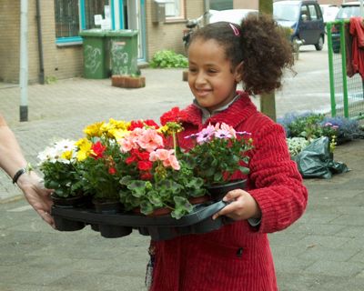 Foto 68 uit opzoomeren 29_5_8