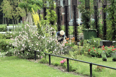 Foto 30 uit TropischeTuin16_07