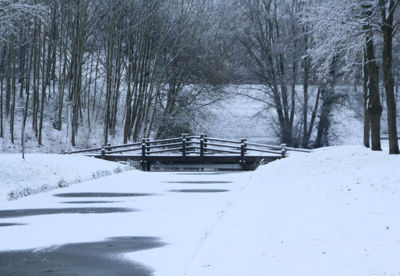 Foto 22 uit Kerst Beverwaard09