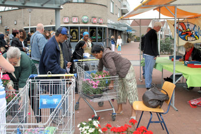 Foto 95 uit OpzoomerenPlantjes