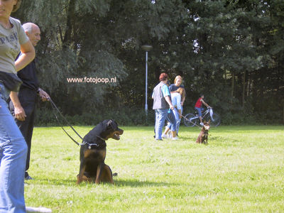 Foto 75 uit wijkparkfeest 2005