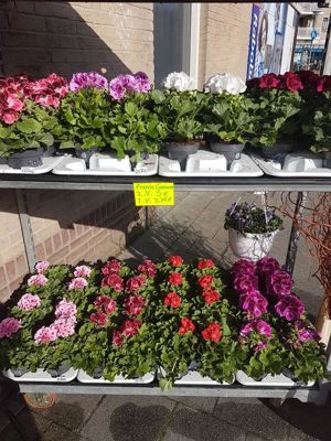 Foto 8 uit NeelyshaNieuweZaak