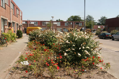 Foto 128 uit StratenBEVERWAARD