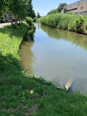 Foto 345 uit Rondje Beverwaard 2026