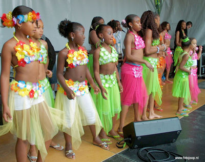 Foto 71 uit carnaval2008beverw