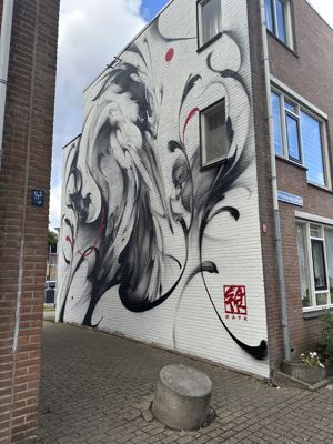 Foto 73 uit All Caps Muurschilderingen Beverwaard 2026