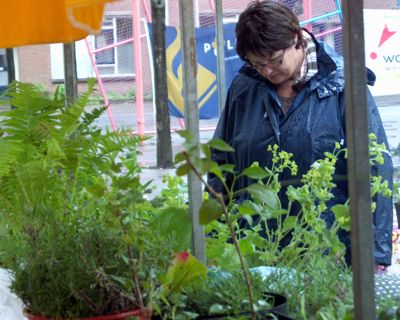 Foto 24 uit opzoomeren 29_5_8