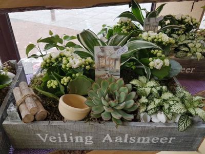 Foto 153 uit NeelyshaBloemen