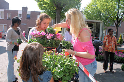 Foto 81 uit Opzoomeren20-05