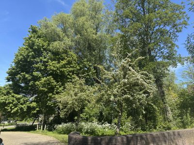 Foto 219 uit Rondje Beverwaard 2026