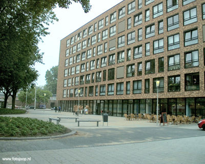 Foto 11 uit wijkfeest de dijk new