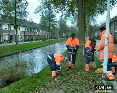Foto 44 uit bloembollen planten