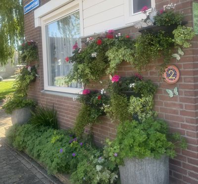 Foto 524 uit Rondje Beverwaard 2026