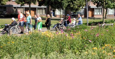 Foto 36 uit Ouderen4daagseSlot