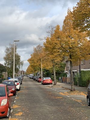 Foto 450 uit Rondje Beverwaard 2026