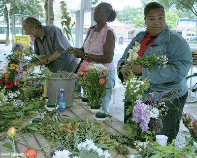 Foto 119 uit 14_06 susannadijk